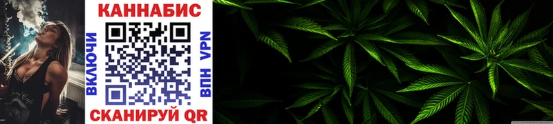 Каннабис OG Kush  закладки  Мураши 